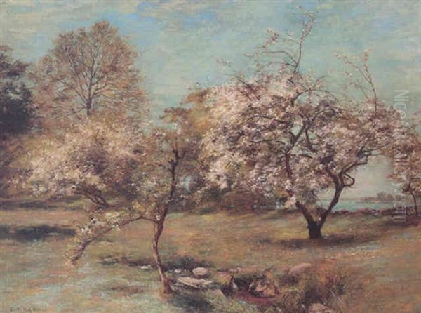 Blossom - view 1