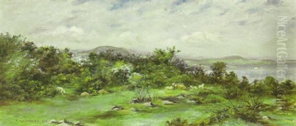 A Coastal View Of The Western Isles - view 1