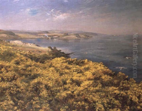 Summer On The Firth Of Forth - view 1
