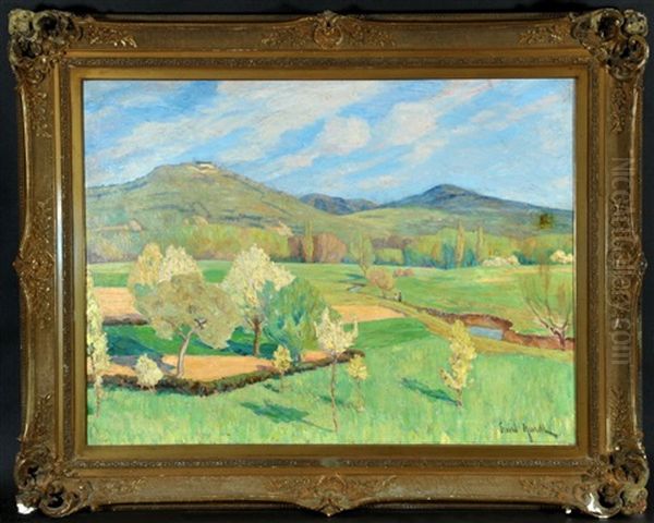Sommerliche Wiesenlandschaft Mit Bachlauf - view 1