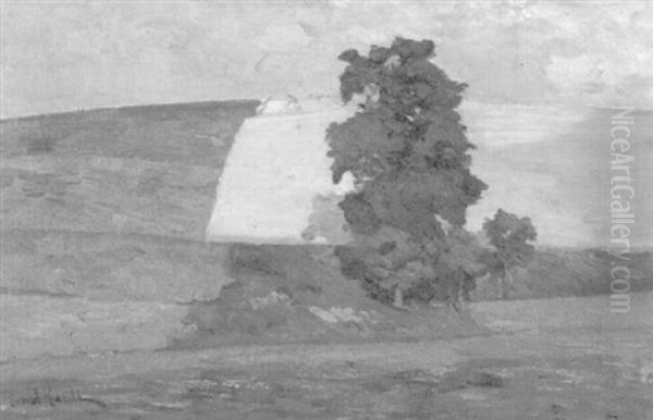 Der Eichbaum - view 1