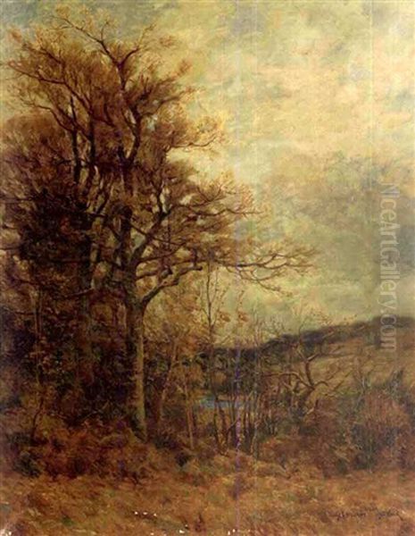 Landscape - view 1