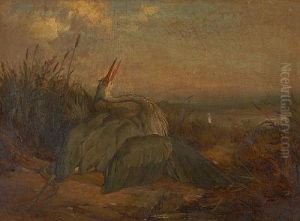 The Wounded Heron