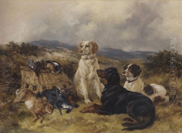 Setters And Game - view 1