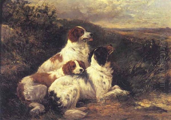 Setters At Rest - view 1