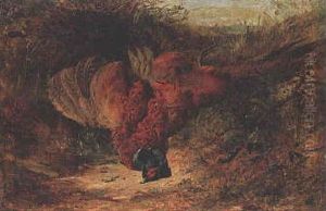 A Pheasant