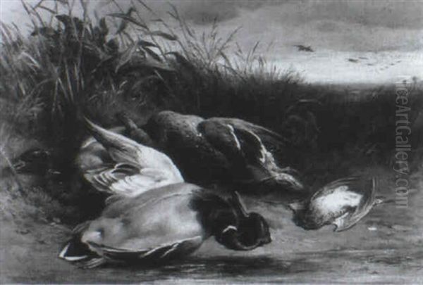 Drakes, A Mallard And A Snipe On A Riverbank - view 1