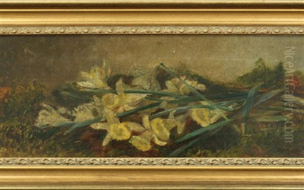Daffodils - view 1