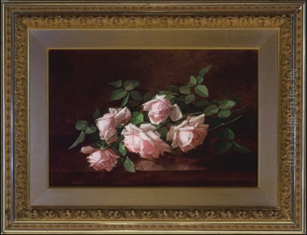Five Pink Roses In Full Bloom - view 1