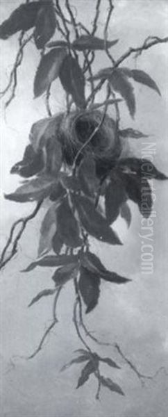 Bird's Nest In Virginia Creeper - view 1