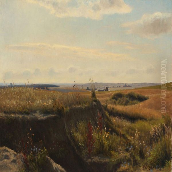 Heath - view 1