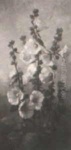 Hollyhocks