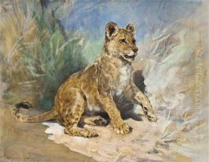 A Lion Cub