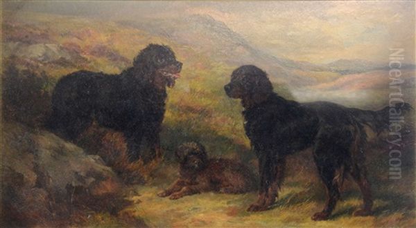 Three Dogs In A Highland Landscape - view 1