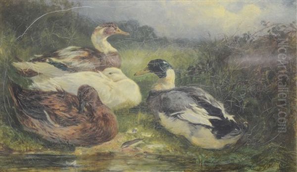 Three Ducks By A Pool - view 1