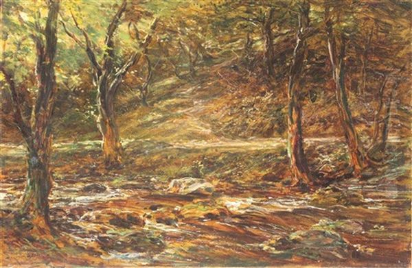 English Forest - view 1