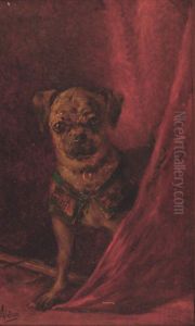 Perro by Augusto Ballerini