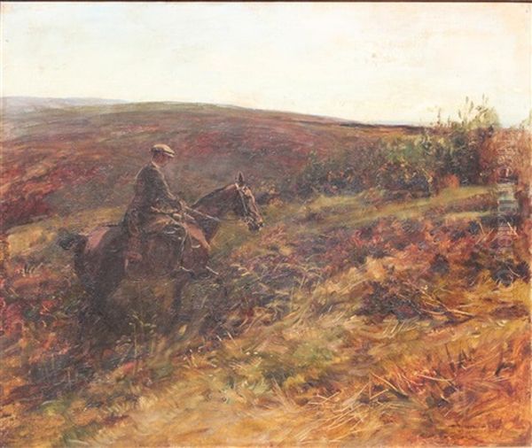 Out For A Ride - view 1