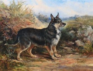 Terrier