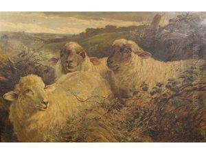 Three Sheep Amongst Brambles With Landscape Beyond by Heywood Hardy