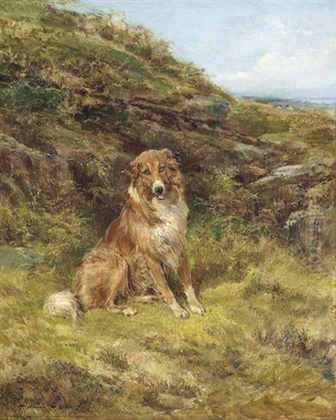 A Collie In A Landscape - view 1