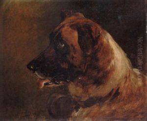 Study Of A Saint Bernard