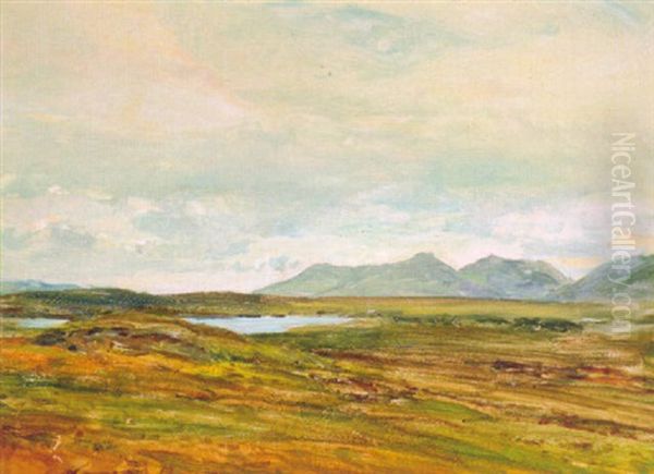 An Extensive Landscape (conemarra, Ireland?) - view 1