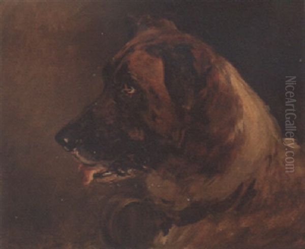 Head Of A St. Bernard - view 1