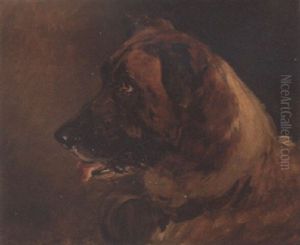 Head Of A St. Bernard
