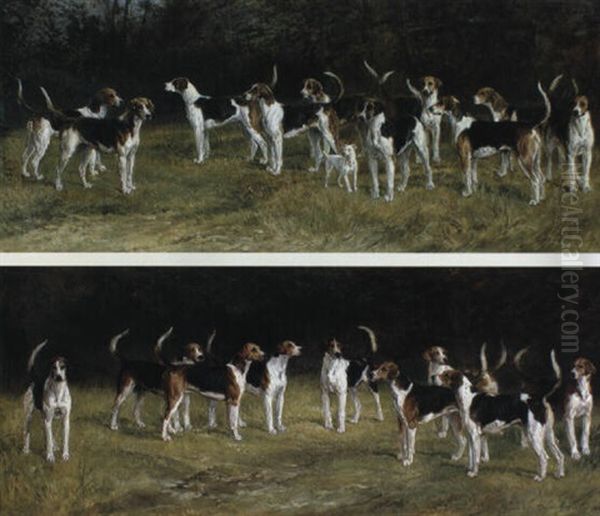The Belvoir Hounds - view 1