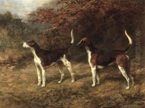 Foxhounds: Chorister, 1901; And Norman, 1904