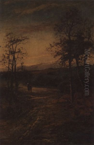 Woodland Path - view 1