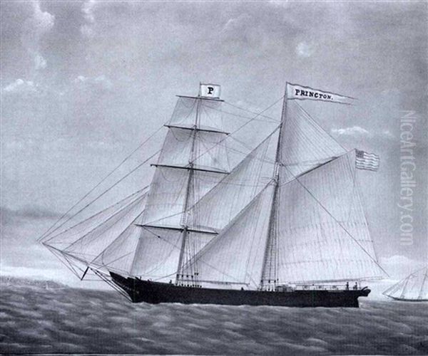 Brig Princton Of Brooklin, Maine, J.c. Wells Master: A Ship's Portrait - view 1