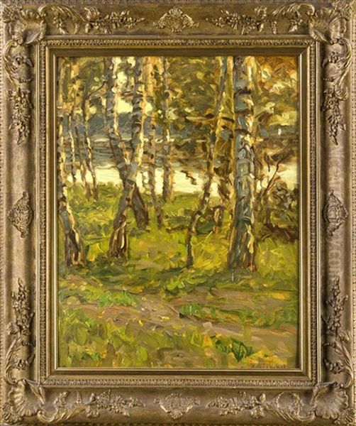Impressionistischer Birkenhain Am Ufer Eines Waldsees - view 1