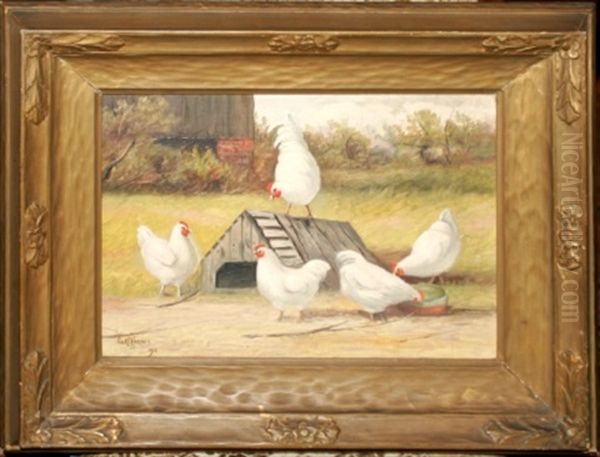 Chickens In Barn Yard - view 1