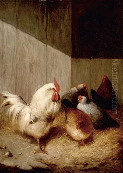 Chickens In A Barnyard - view 1