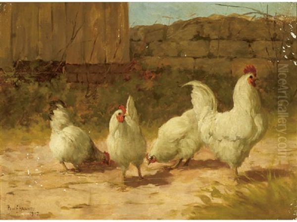 Chickens In A Farmyard - view 1