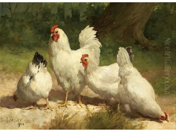 Four Chickens - view 1