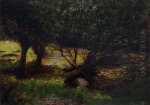 The River Avon, Broom