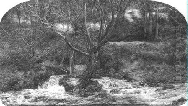 Homer Water, Somerset - view 1