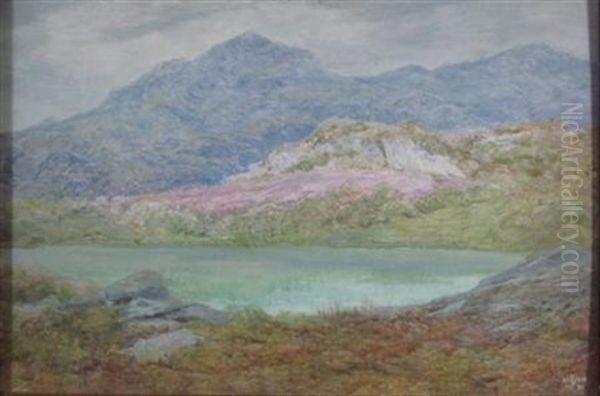 A Mountain Tarn, Inverness-shire - view 1