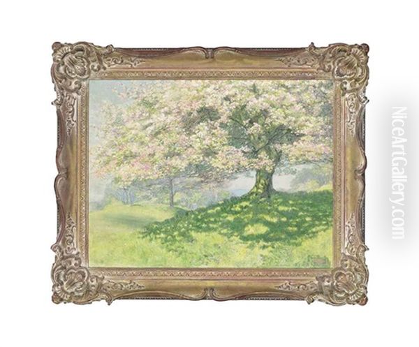 Cherry Blossom - view 1