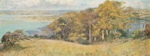 Where The River Torridge Meets Her Sister Taw Where The River Torridge Meets Her Sister Taw