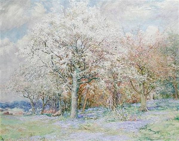 Woodland Scene With Bluebells - view 1