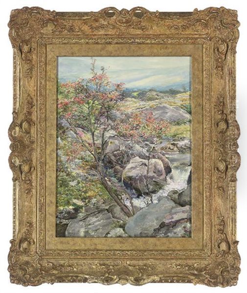 A Rowan Tree, Nantcol, Llanbedr - view 1