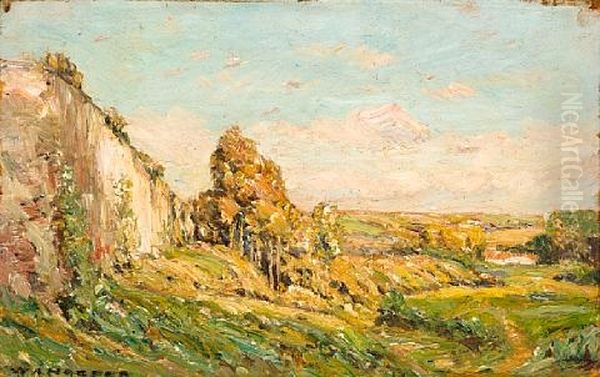 Late Summer Landscape - view 1