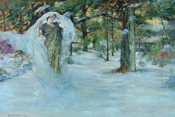 The Veil Of Winter - view 1