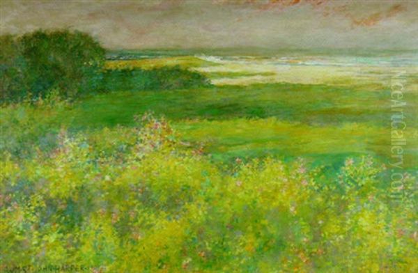 Long Island Dunes - view 1