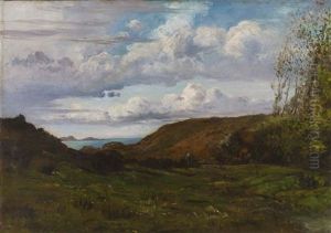 Paysage Des Landes Paysage Des Landes