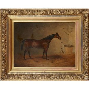 Horse In A Stable